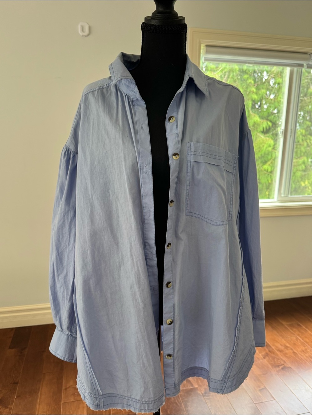 We The Free Light Blue Button-Down Shirt